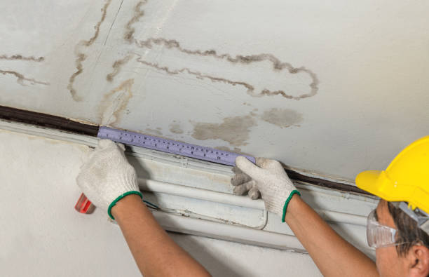 Reliable Water Damage contractor in Harrison, NJ by Water Damage Irwin